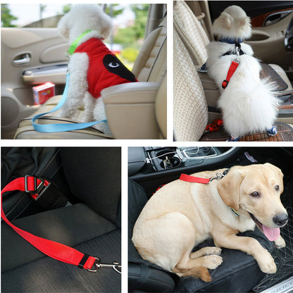 PawSafe Vehicle Safety Belt