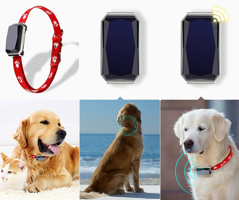 PawSafe GPS Tracking Collar