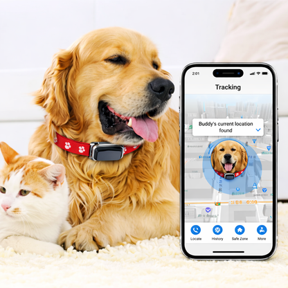 PawSafe GPS Tracking Collar
